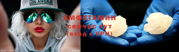 гидра Арсеньев