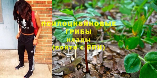 дмт Аркадак