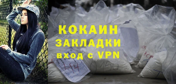 гидра Арсеньев