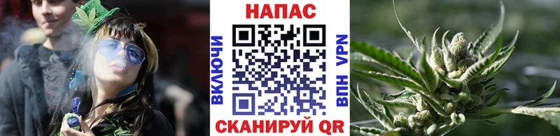 закладка  Коломна  Конопля ГИДРОПОН 
